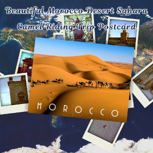 Beautiful Morocco Desert Sahara Camel Riding Trip Postcard