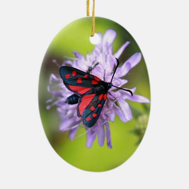 Beautiful Moth Ceramic Ornament (Back)