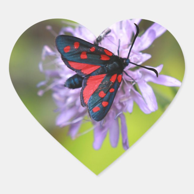 Beautiful Moth Heart Sticker (Front)