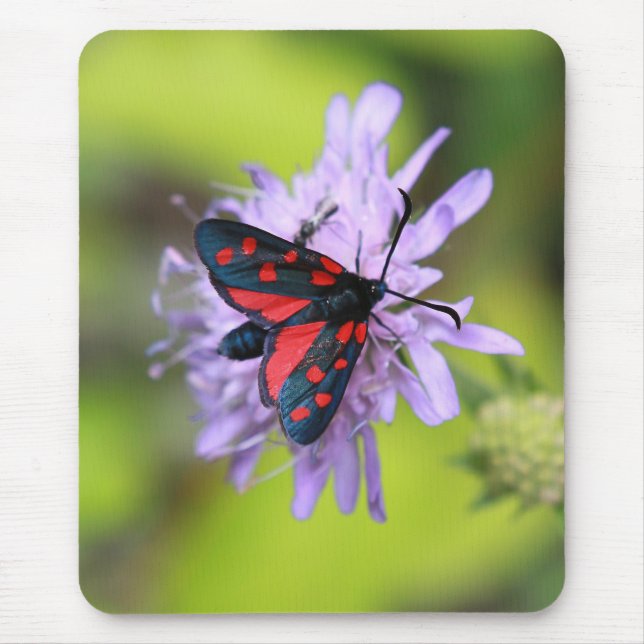 Beautiful Moth Mouse Pad (Front)