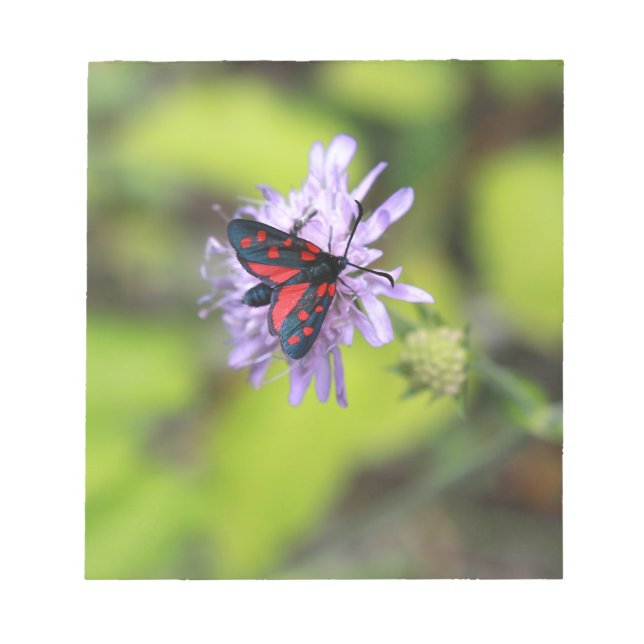 Beautiful Moth Notepad (Front)