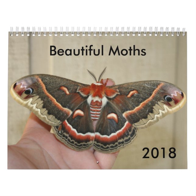 Beautiful Moths Calendar 2018 (Cover)
