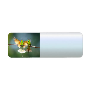Beautiful Motmot Bird on Branch Return Address Label