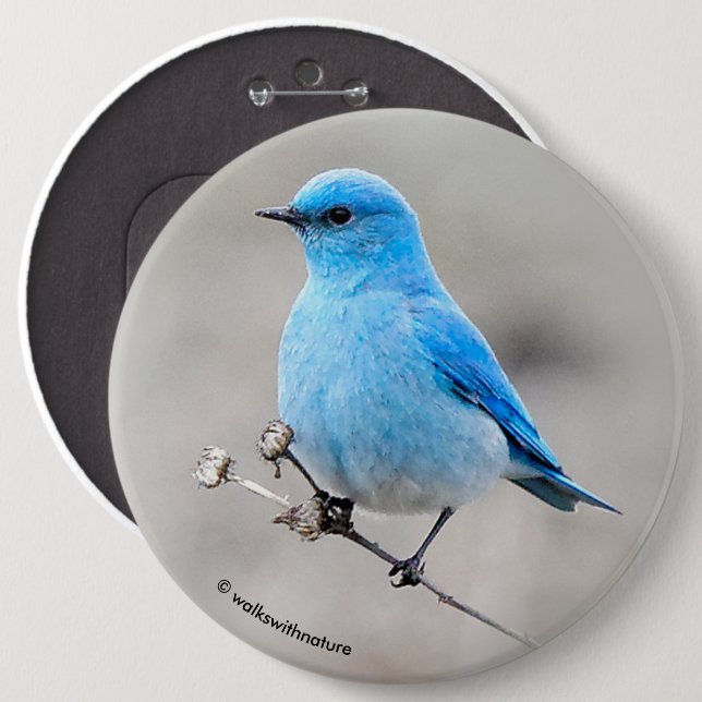 Beautiful Mountain Bluebird 6 Cm Round Badge (Front & Back)