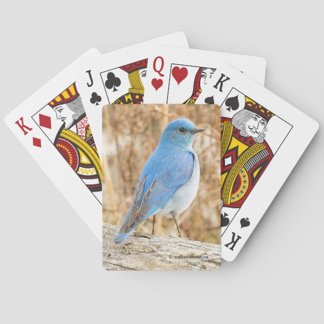 Beautiful Mountain Bluebird at the Beach Playing Cards (Back)