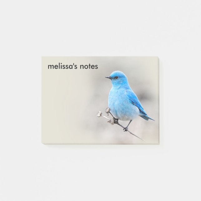 Beautiful Mountain Bluebird Post-it Notes (Front)