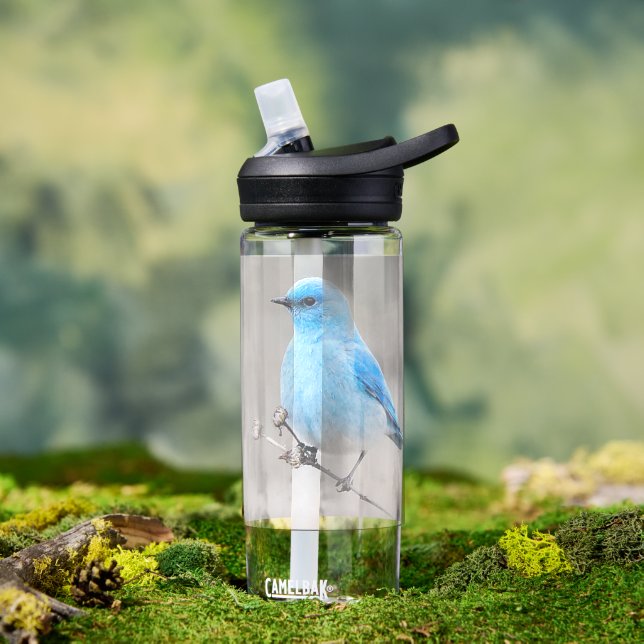 Beautiful Mountain Bluebird Songbird at the Beach  Water Bottle (Outdoor)