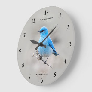 Beautiful Mountain Bluebird Songbird on Tansy Large Clock