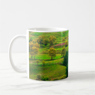 Beautiful mountain landscape in evening sunlight. coffee mug