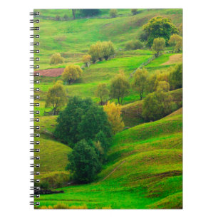 Beautiful mountain landscape in evening sunlight.  notebook