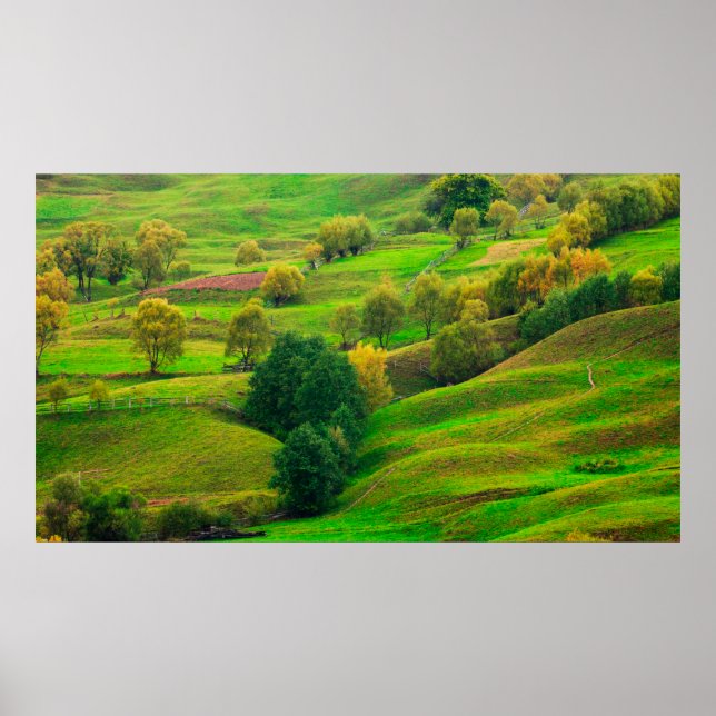 Beautiful mountain landscape in evening sunlight.  poster (Front)