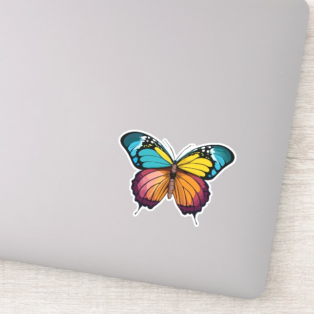 Beautiful Multicolored Butterfly (Detail)