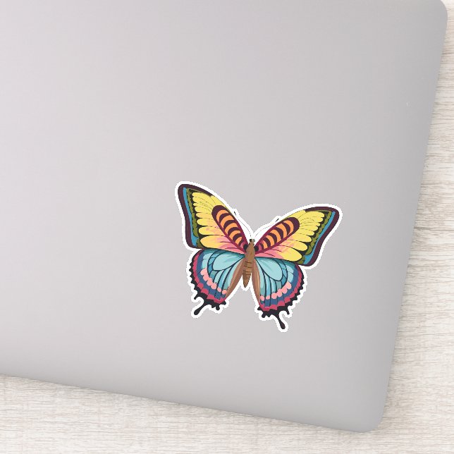 Beautiful Multicolored Butterfly (Detail)
