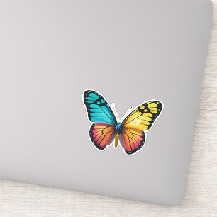 Beautiful Multicolored Butterfly