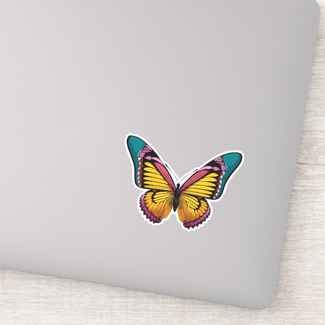 Beautiful Multicolored Butterfly (Detail)