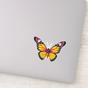 Beautiful Multicolored Butterfly