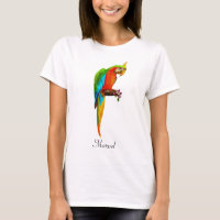 Beautiful Multicolored Macaw Bird