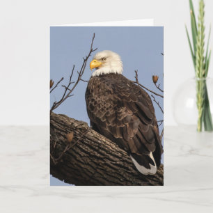 Beautiful Mum (Eagle)   Card