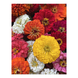 Beautiful Mums Photo Print