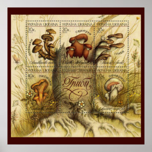 Beautiful Mushroom Stamps ~ Toadstool Ukraine 1999 Poster