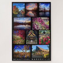 Beautiful Naperville - 10 Scenes Around Town
