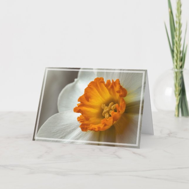Beautiful Narcissus Bloom Macro Card (Front)