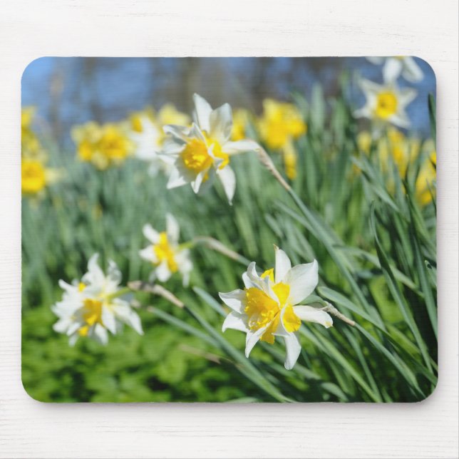 beautiful narcissus mouse pad (Front)