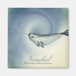 Beautiful Narwhal Whale, Monodon Monoceros Magnet