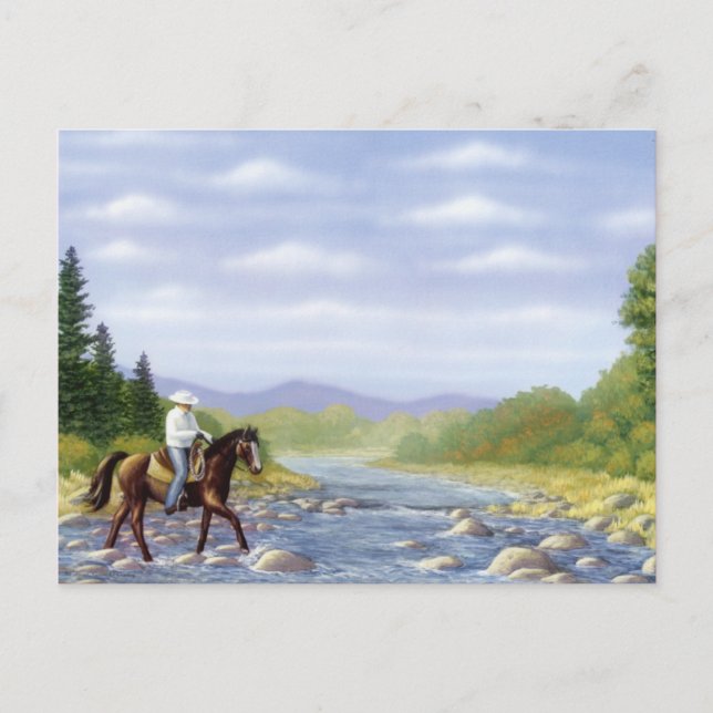 BEAUTIFUL NATIVE AMERICAN POSTCARD (Front)