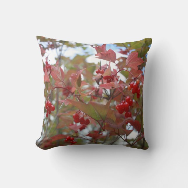 Beautiful Nature Autumn Berries Fall Season Cool Cushion (Front)