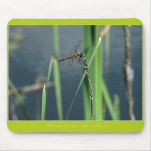 Beautiful Nature: Dragonfly Mouse Pad