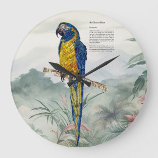 Beautiful nature inspired Endangered Macaw Large Clock