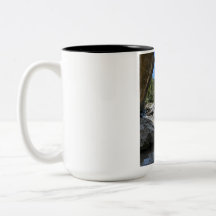 Beautiful Nature Landscape Two-Tone Coffee Mug