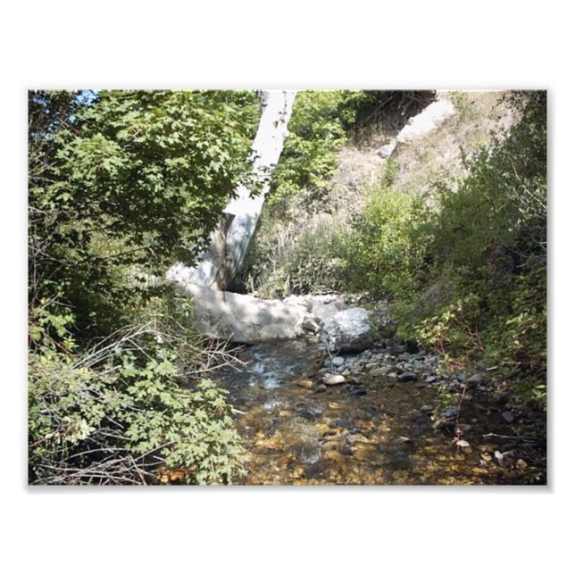 Beautiful Nature Scene Photo Print (Front)
