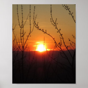 Beautiful Nature Sunset Poster Print Picture