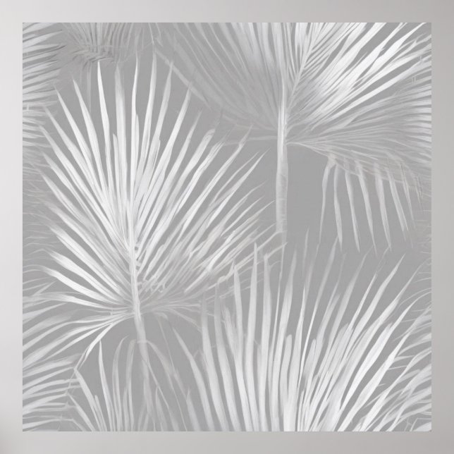 Beautiful new Palm leaves elegant nature  Poster (Front)