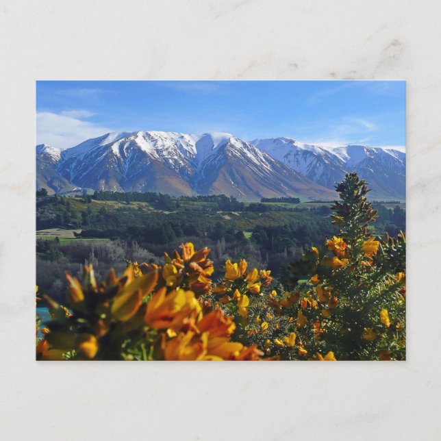 Beautiful New Zealand Postcard (Front)