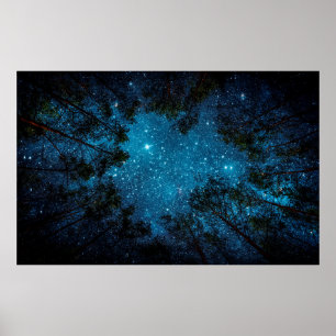 Beautiful night sky, the Milky Way and the trees.  Poster