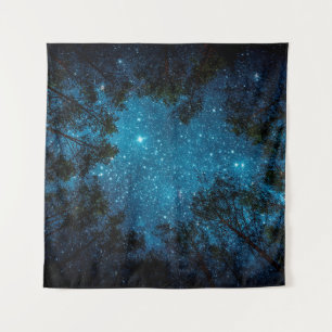 Beautiful night sky, the Milky Way and the trees.  Tapestry