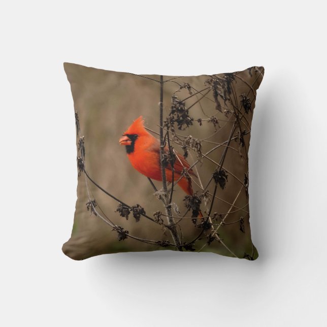 Beautiful Northern Cardinal  Cushion (Front)