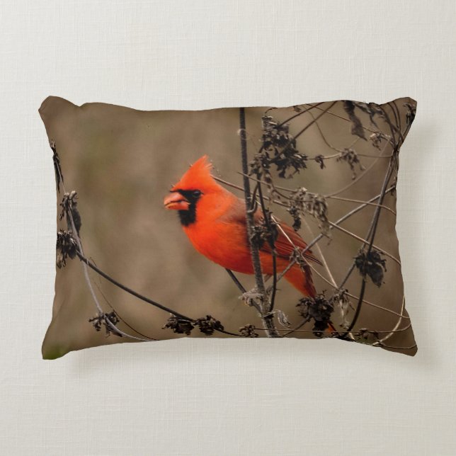 Beautiful Northern Cardinal  Decorative Cushion (Front)