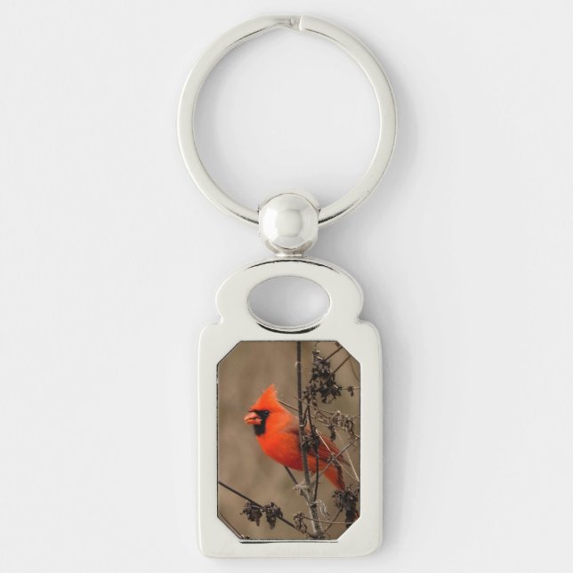 Beautiful Northern Cardinal  Key Ring (Front)