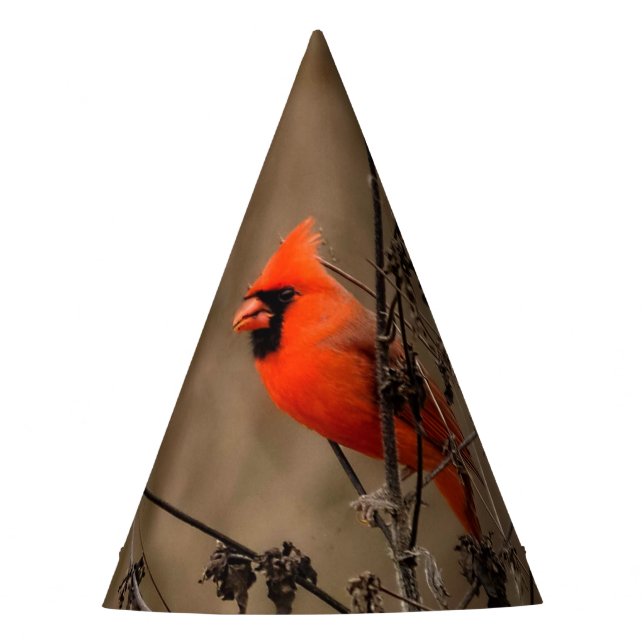 Beautiful Northern Cardinal  Party Hat (Front)
