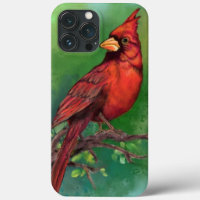 Beautiful Northern Red Cardinal Bird - Painting