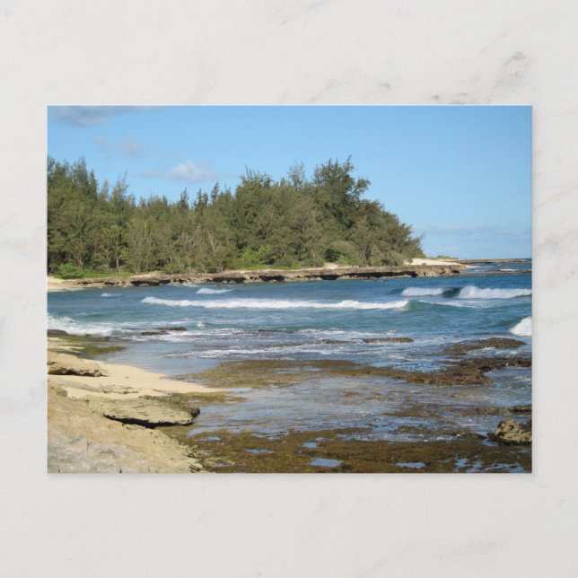 Beautiful Ocean Beach Oahu Hawaii Postcard (Front)