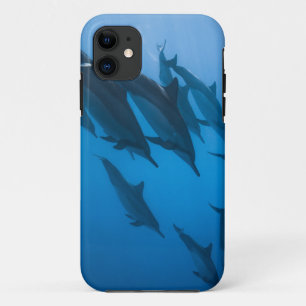 Beautiful Ocean Creatures iPhone 11 Case