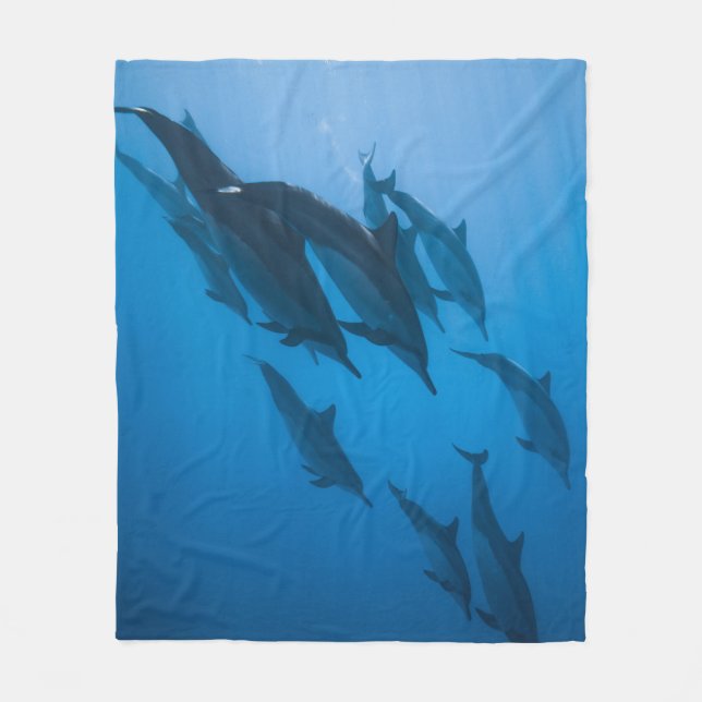 Beautiful Ocean Creatures Fleece Blanket (Front)
