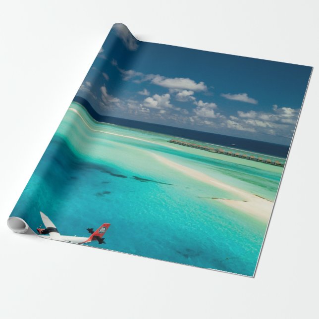 Beautiful Ocean Creatures Wrapping Paper (Unrolled)