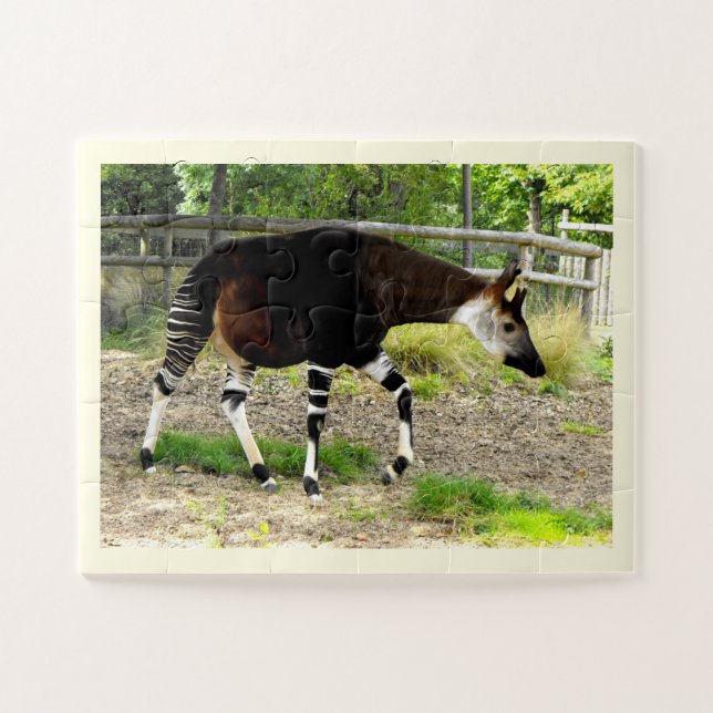 Beautiful Okapi Jigsaw Puzzle (Horizontal)