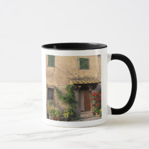 Beautiful old home with flowers at San Gimignano Mug